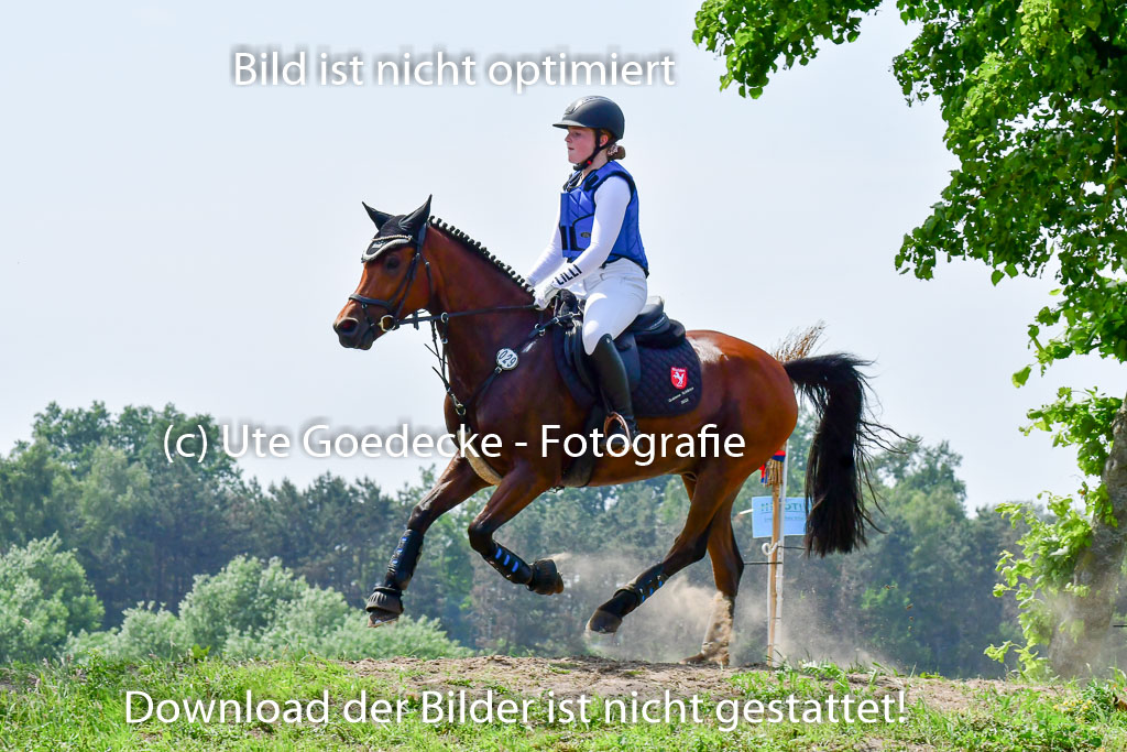 Goldene Schärpe Ponys in Löningen  4+5.6.22 | 04062022 - Gelände  2 Abt _256 