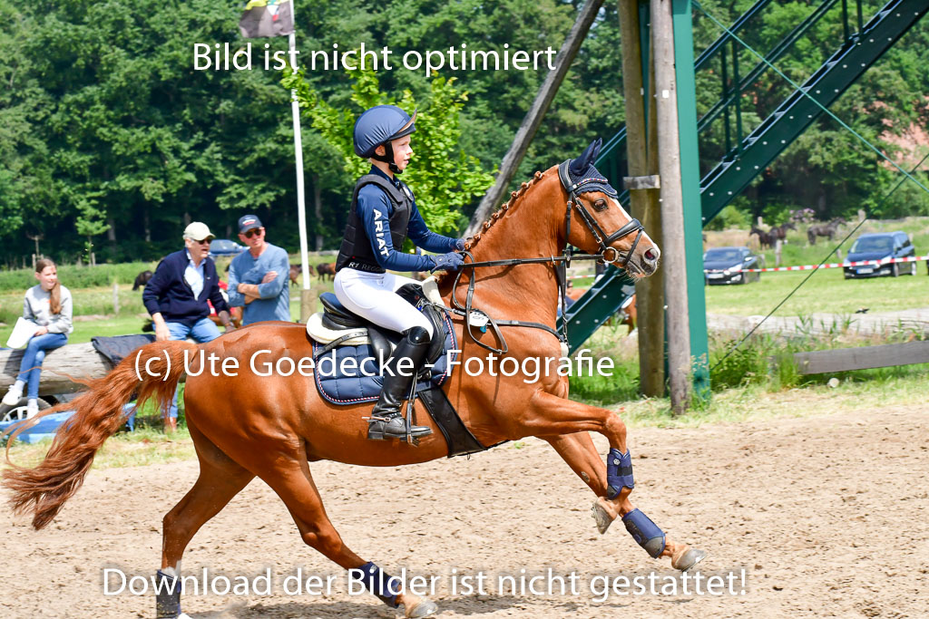Goldene Schärpe Ponys in Löningen  4+5.6.22 | 04062022 - Gelände  2 Abt _260 