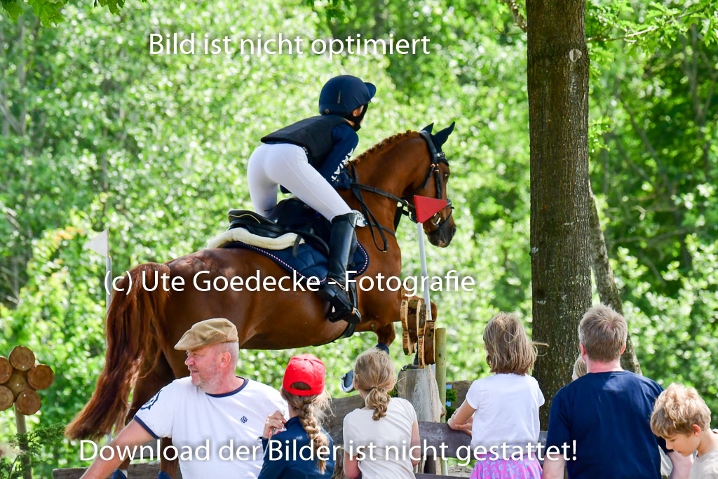 Goldene Schärpe Ponys in Löningen  4+5.6.22 | 04062022 - Gelände  2 Abt _262 