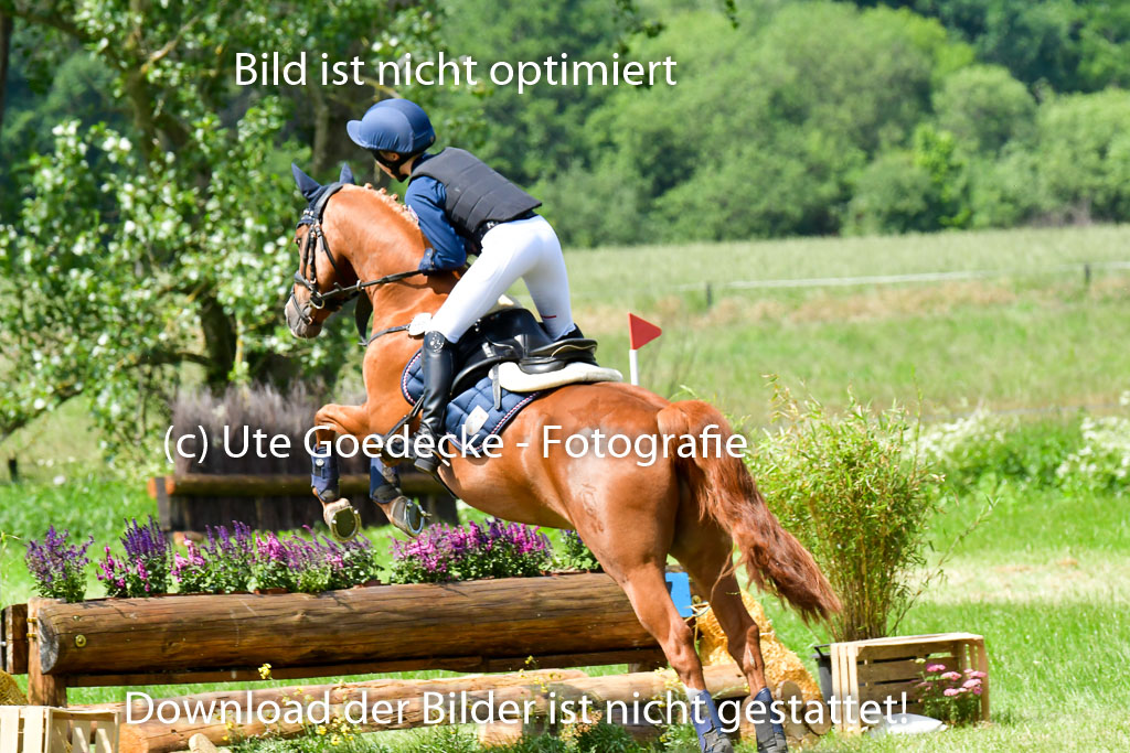 Goldene Schärpe Ponys in Löningen  4+5.6.22 | 04062022 - Gelände  2 Abt _263 