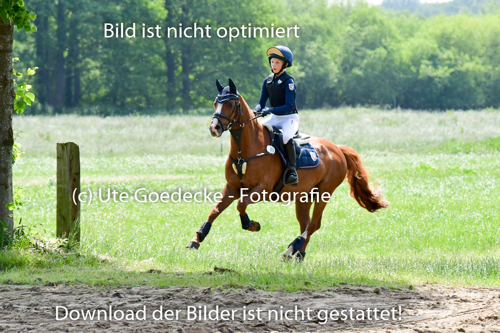Goldene Schärpe Ponys in Löningen  4+5.6.22 | 04062022 - Gelände  2 Abt _265 