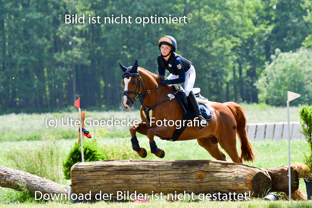 Goldene Schärpe Ponys in Löningen  4+5.6.22 | 04062022 - Gelände  2 Abt _266 