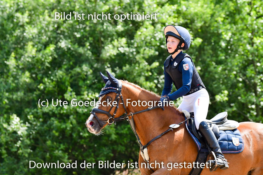 Goldene Schärpe Ponys in Löningen  4+5.6.22 | 04062022 - Gelände  2 Abt _268 