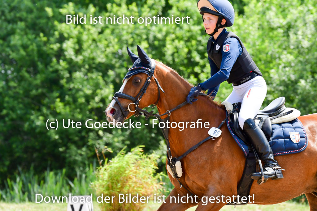 Goldene Schärpe Ponys in Löningen  4+5.6.22 | 04062022 - Gelände  2 Abt _269 