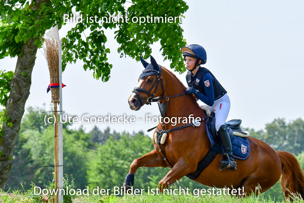 Goldene Schärpe Ponys in Löningen  4+5.6.22 | 04062022 - Gelände  2 Abt _271 