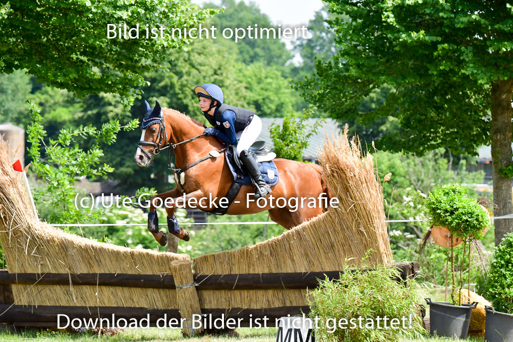 Goldene Schärpe Ponys in Löningen  4+5.6.22 | 04062022 - Gelände  2 Abt _272 