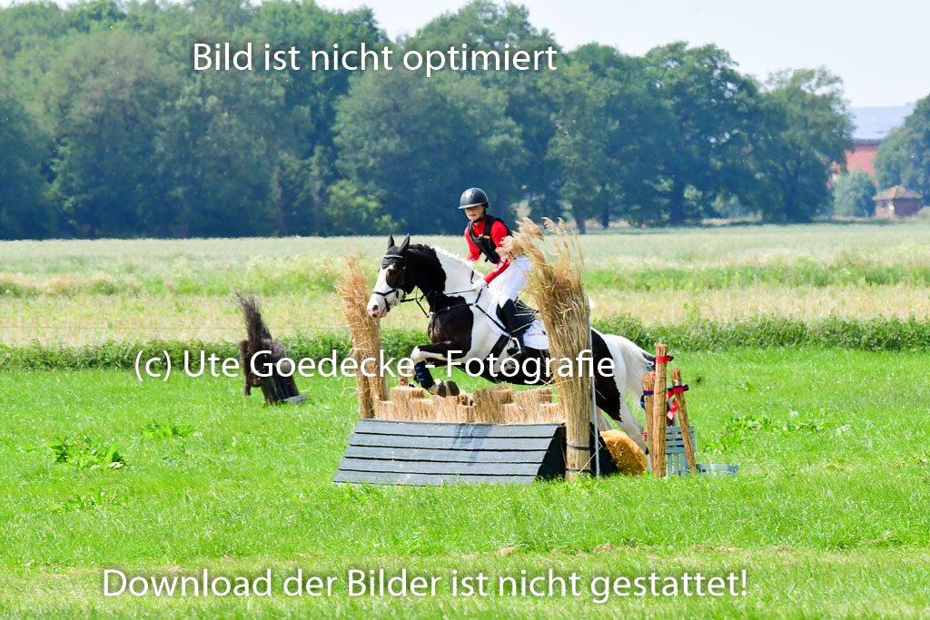 Goldene Schärpe Ponys in Löningen  4+5.6.22 | 04062022 - Gelände  2 Abt _274 
