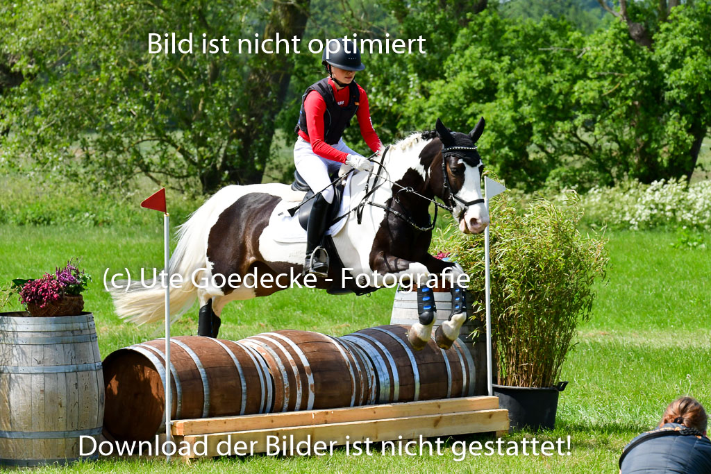 Goldene Schärpe Ponys in Löningen  4+5.6.22 | 04062022 - Gelände  2 Abt _277 