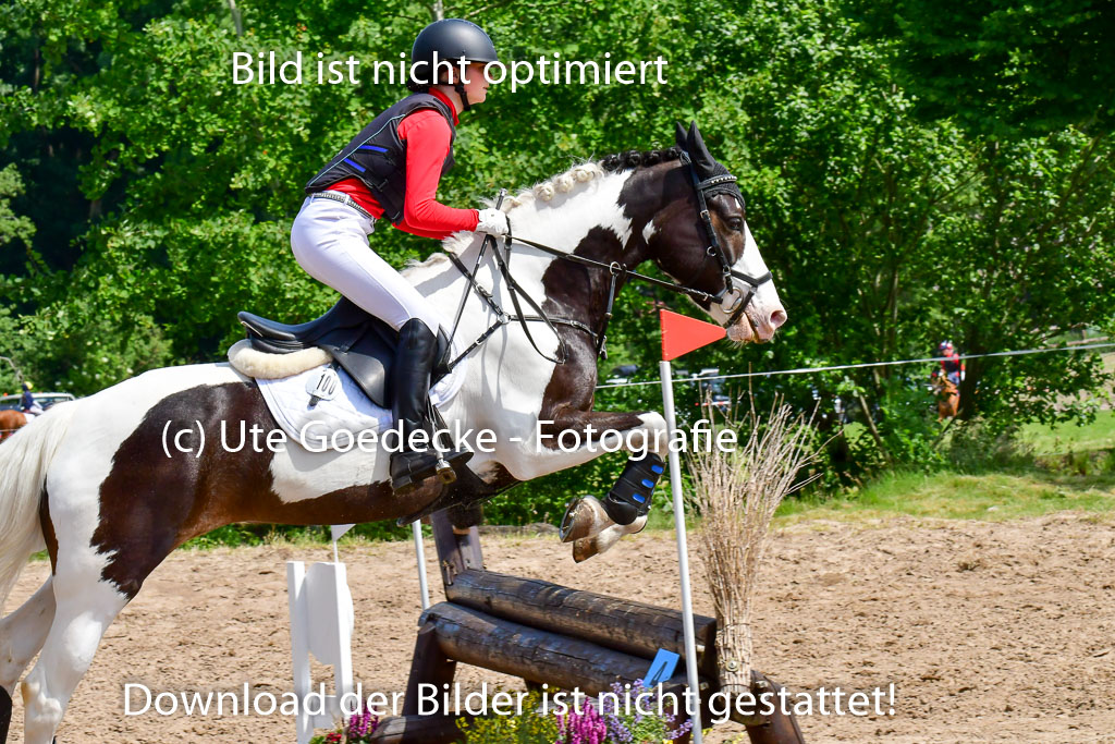 Goldene Schärpe Ponys in Löningen  4+5.6.22 | 04062022 - Gelände  2 Abt _278 