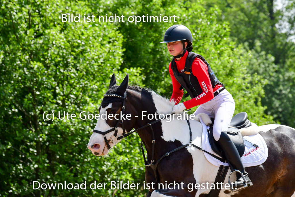 Goldene Schärpe Ponys in Löningen  4+5.6.22 | 04062022 - Gelände  2 Abt _286 