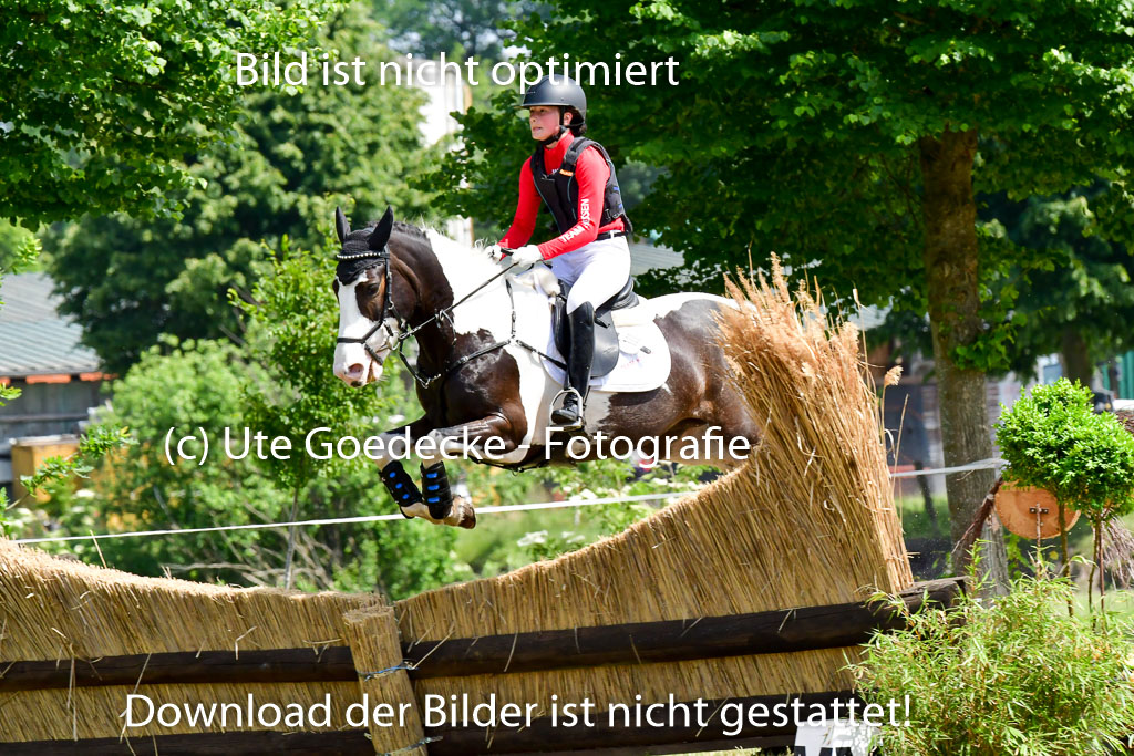 Goldene Schärpe Ponys in Löningen  4+5.6.22 | 04062022 - Gelände  2 Abt _289 
