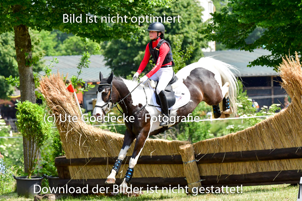Goldene Schärpe Ponys in Löningen  4+5.6.22 | 04062022 - Gelände  2 Abt _290 