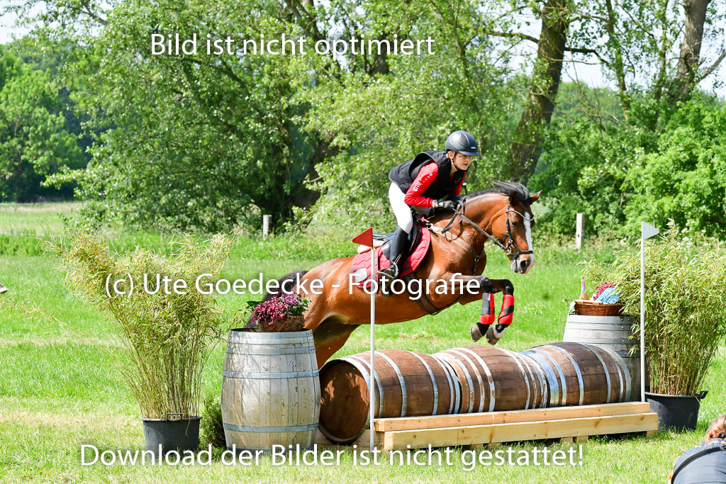 Goldene Schärpe Ponys in Löningen  4+5.6.22 | 04062022 - Gelände  2 Abt _293 