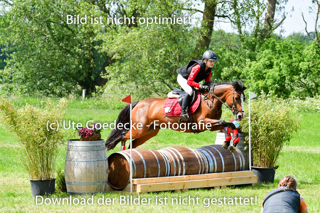 Goldene Schärpe Ponys in Löningen  4+5.6.22 | 04062022 - Gelände  2 Abt _294 
