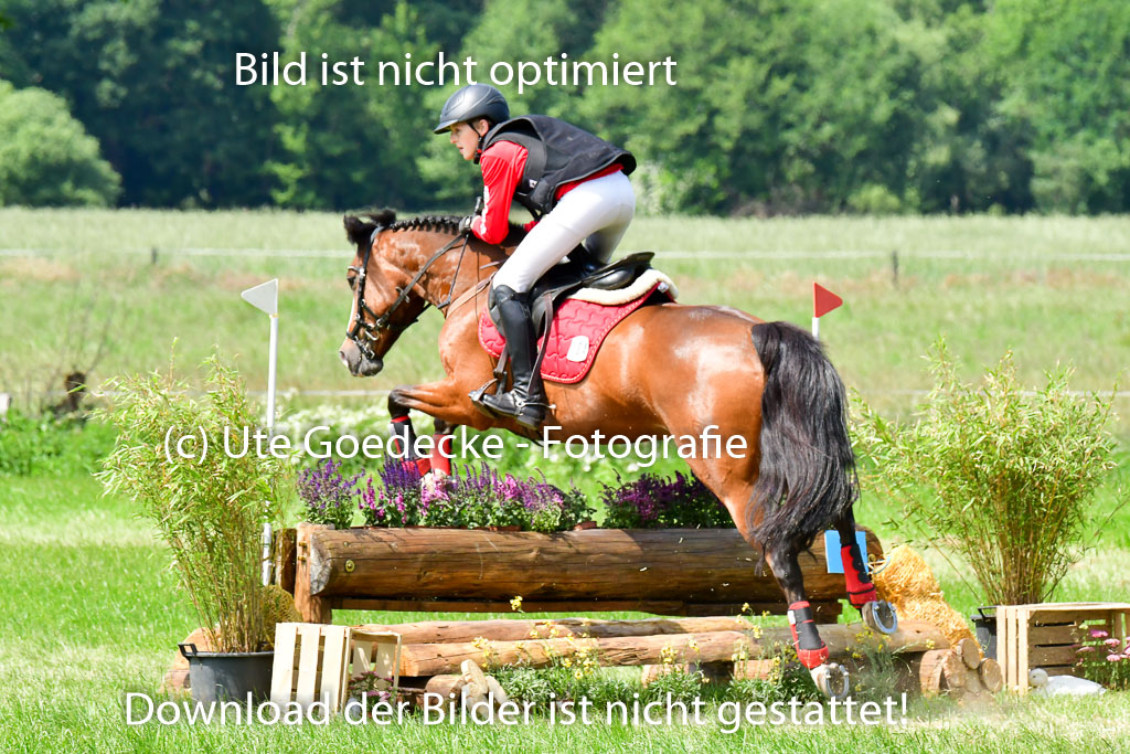 Goldene Schärpe Ponys in Löningen  4+5.6.22 | 04062022 - Gelände  2 Abt _295 