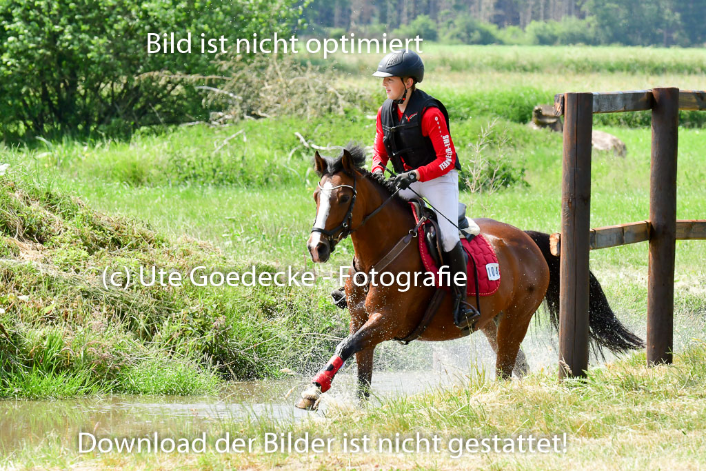 Goldene Schärpe Ponys in Löningen  4+5.6.22 | 04062022 - Gelände  2 Abt _296 
