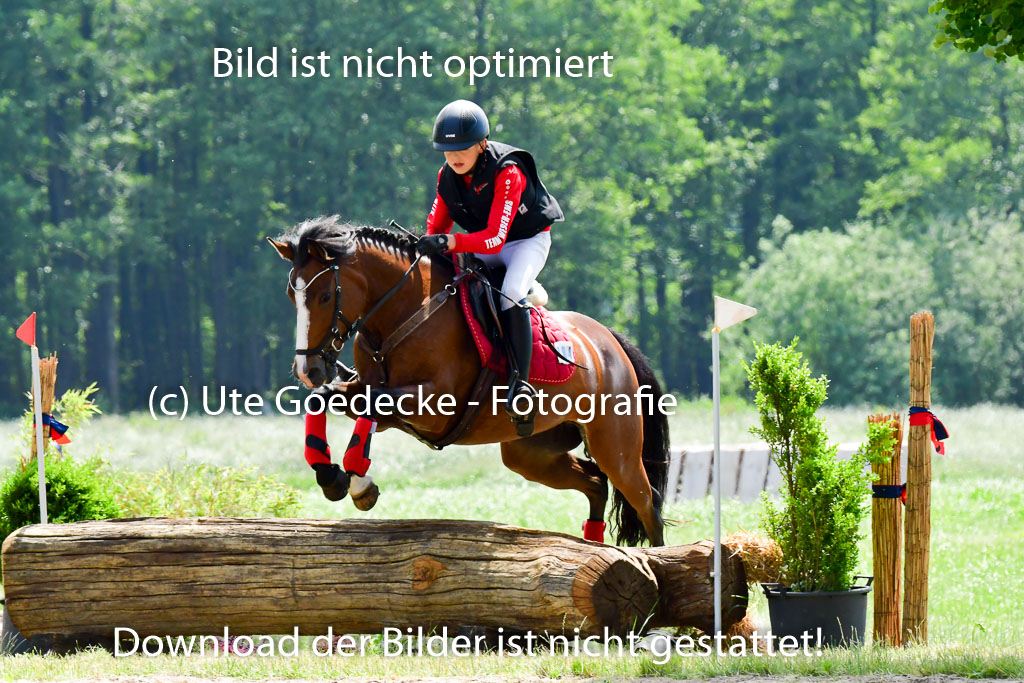 Goldene Schärpe Ponys in Löningen  4+5.6.22 | 04062022 - Gelände  2 Abt _299 
