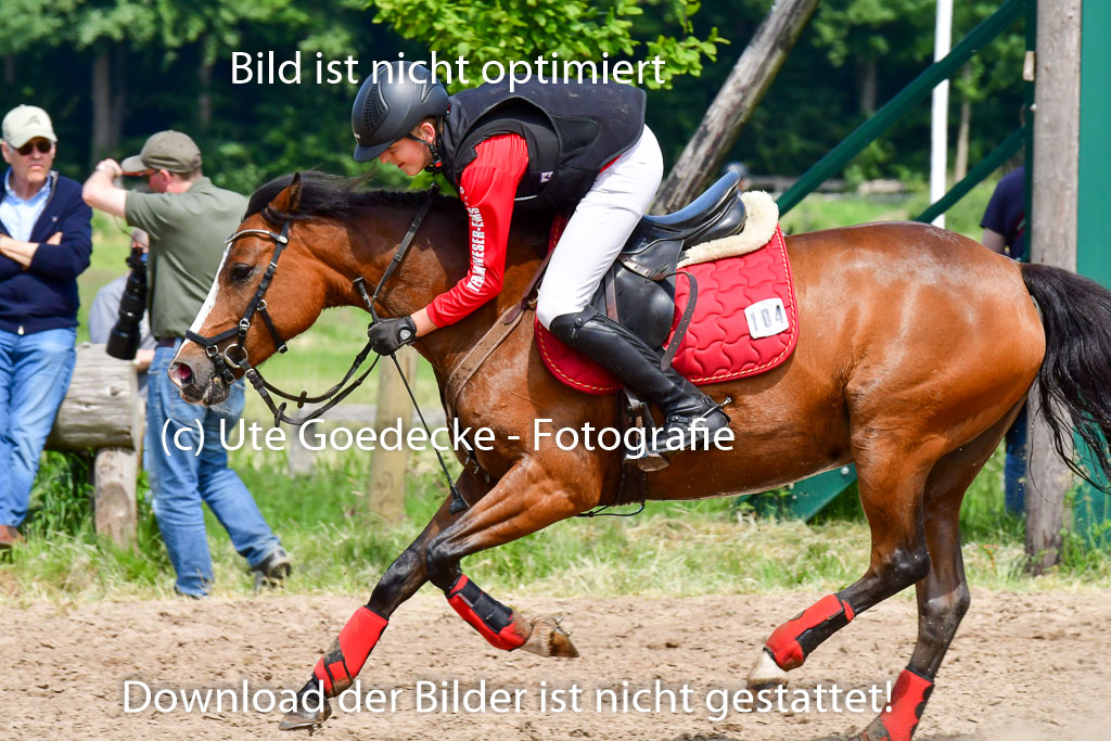 Goldene Schärpe Ponys in Löningen  4+5.6.22 | 04062022 - Gelände  2 Abt _305 