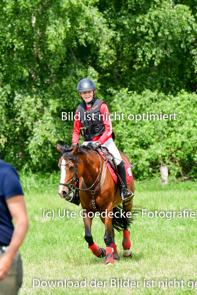 Goldene Schärpe Ponys in Löningen  4+5.6.22 | 04062022 - Gelände  2 Abt _306 
