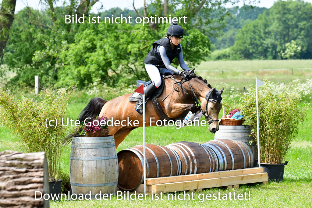 Goldene Schärpe Ponys in Löningen  4+5.6.22 | 04062022 - Gelände  2 Abt _307 