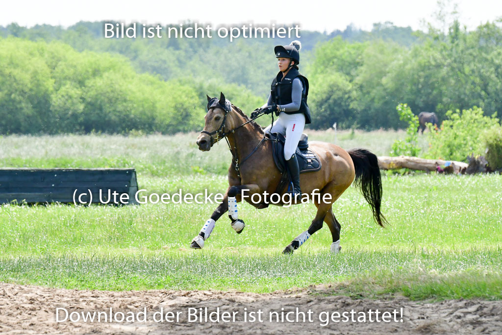 Goldene Schärpe Ponys in Löningen  4+5.6.22 | 04062022 - Gelände  2 Abt _310 