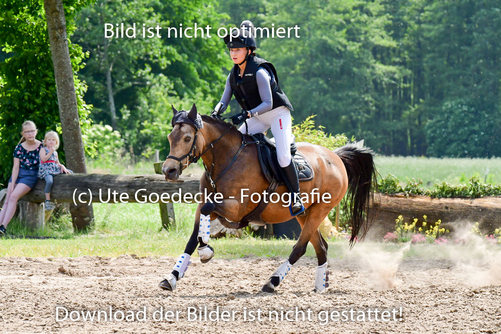 Goldene Schärpe Ponys in Löningen  4+5.6.22 | 04062022 - Gelände  2 Abt _312 