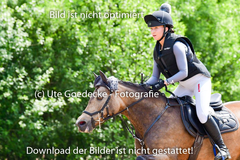 Goldene Schärpe Ponys in Löningen  4+5.6.22 | 04062022 - Gelände  2 Abt _313 