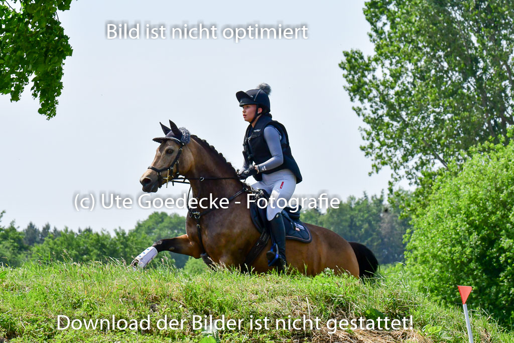 Goldene Schärpe Ponys in Löningen  4+5.6.22 | 04062022 - Gelände  2 Abt _314 