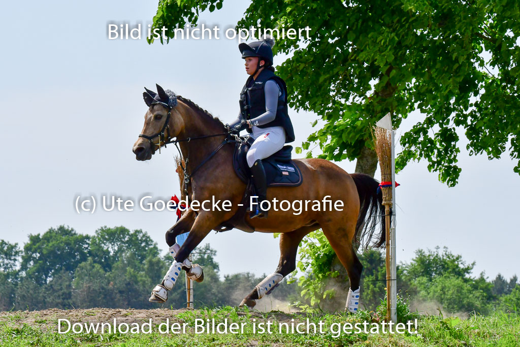 Goldene Schärpe Ponys in Löningen  4+5.6.22 | 04062022 - Gelände  2 Abt _315 