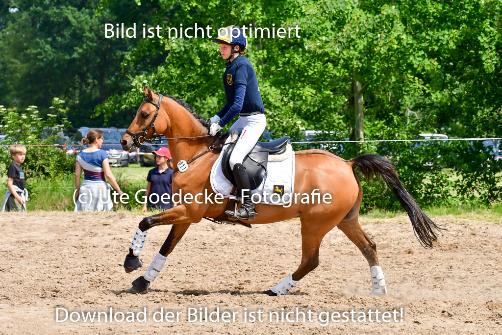 Goldene Schärpe Ponys in Löningen  4+5.6.22 | 04062022 - Gelände  2 Abt _318 