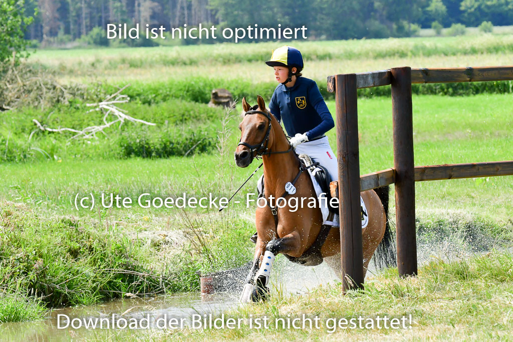Goldene Schärpe Ponys in Löningen  4+5.6.22 | 04062022 - Gelände  2 Abt _324 