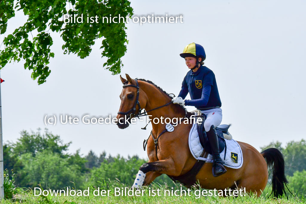 Goldene Schärpe Ponys in Löningen  4+5.6.22 | 04062022 - Gelände  2 Abt _330 