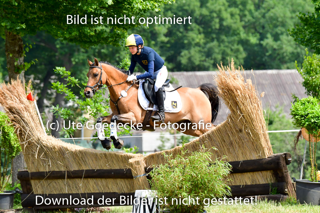Goldene Schärpe Ponys in Löningen  4+5.6.22 | 04062022 - Gelände  2 Abt _332 