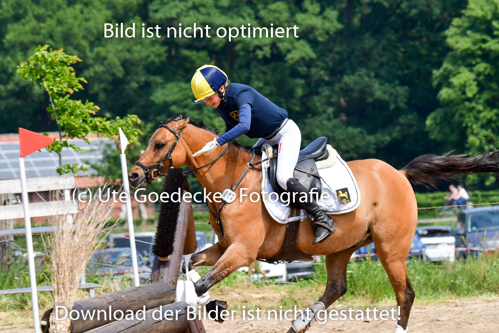 Goldene Schärpe Ponys in Löningen  4+5.6.22 | 04062022 - Gelände  2 Abt _334 