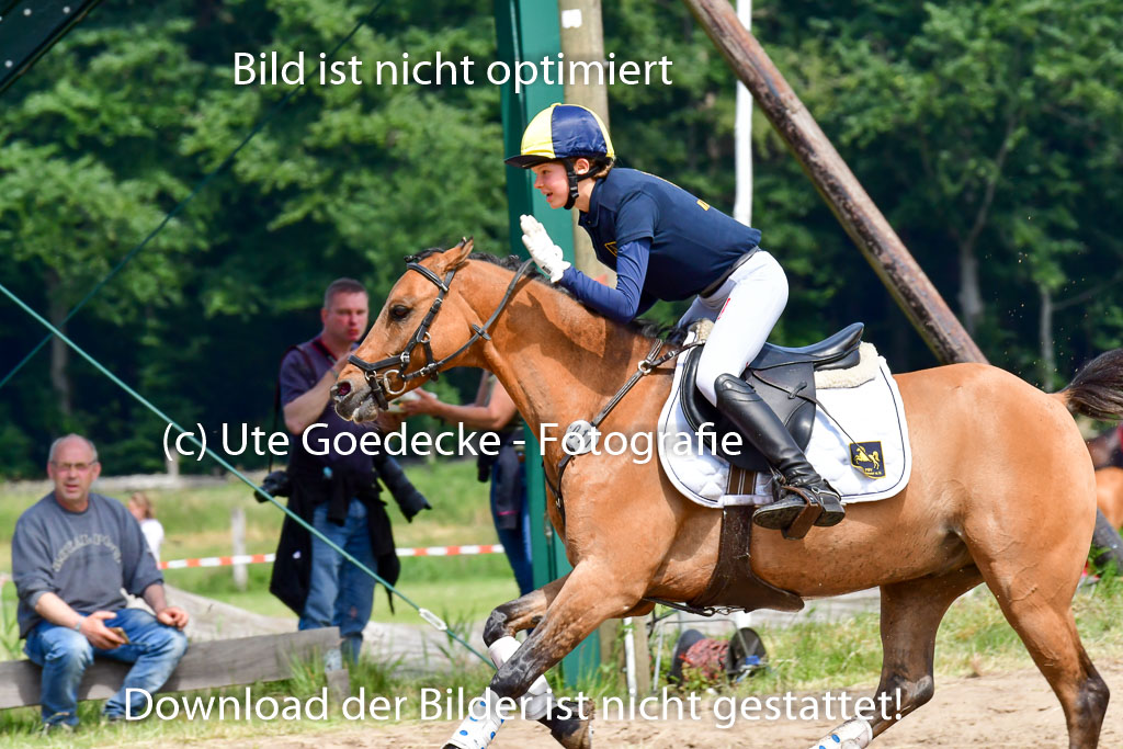 Goldene Schärpe Ponys in Löningen  4+5.6.22 | 04062022 - Gelände  2 Abt _335 