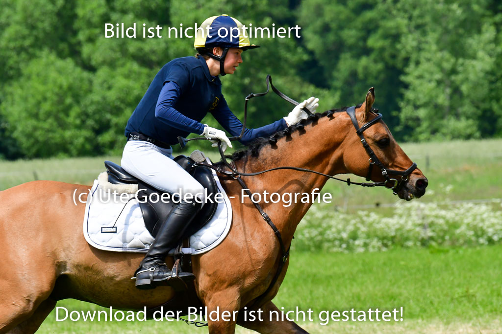 Goldene Schärpe Ponys in Löningen  4+5.6.22 | 04062022 - Gelände  2 Abt _336 