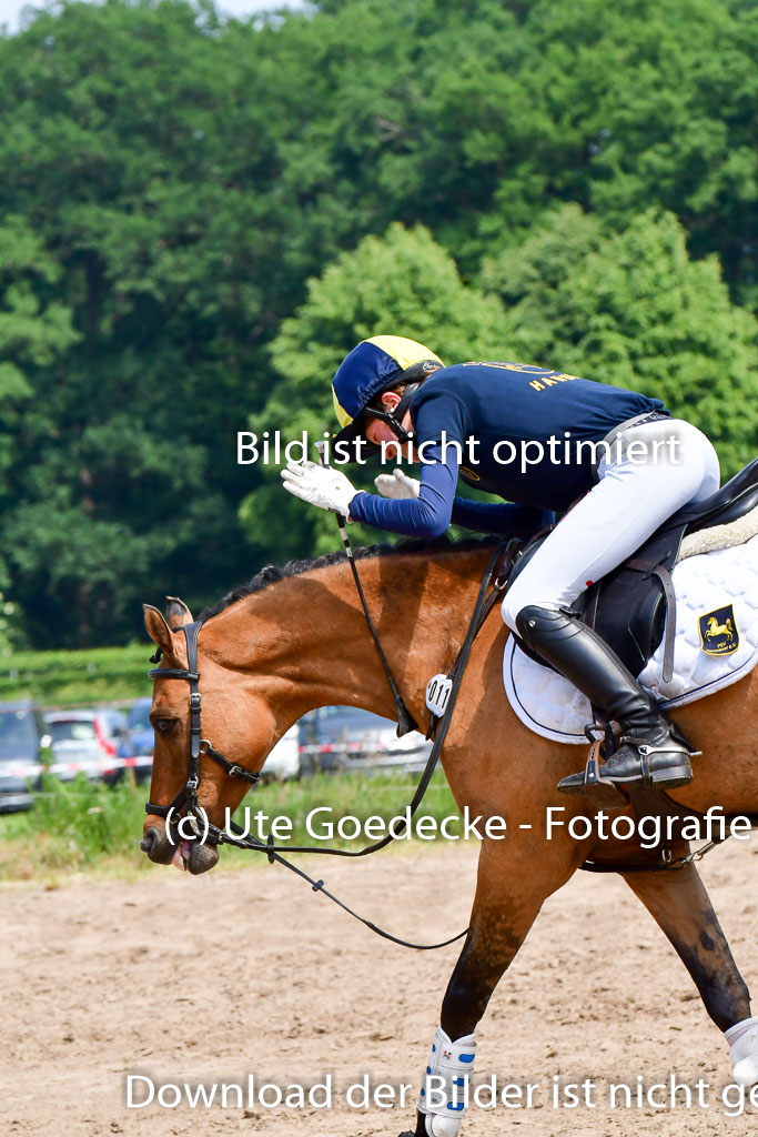 Goldene Schärpe Ponys in Löningen  4+5.6.22 | 04062022 - Gelände  2 Abt _337 