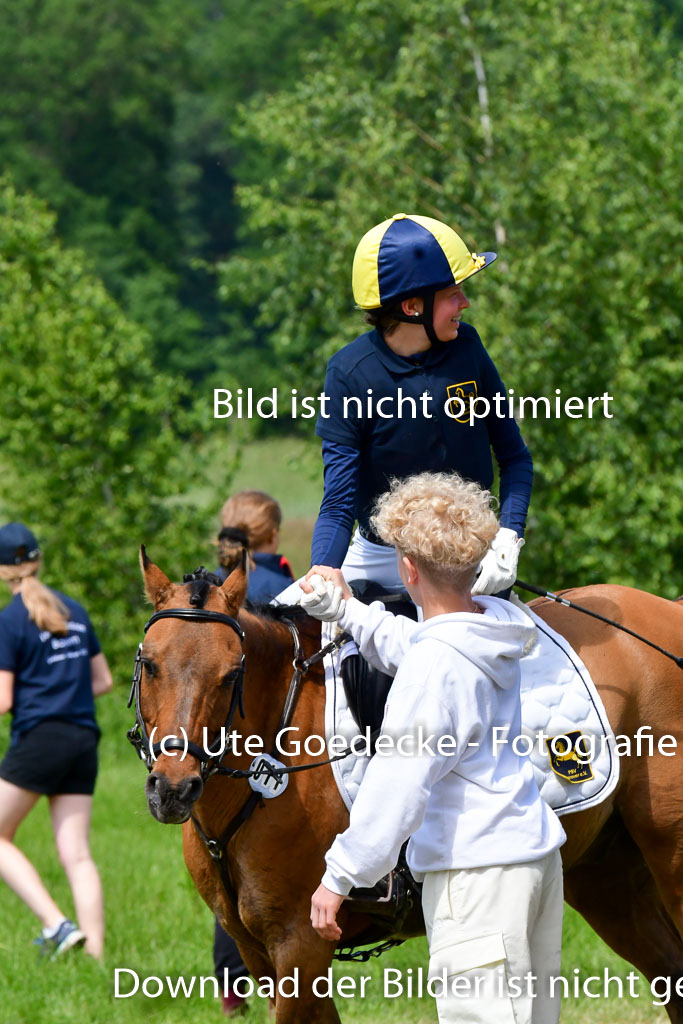 Goldene Schärpe Ponys in Löningen  4+5.6.22 | 04062022 - Gelände  2 Abt _341 