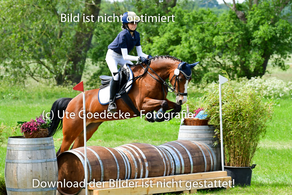 Goldene Schärpe Ponys in Löningen  4+5.6.22 | 04062022 - Gelände  2 Abt _344 