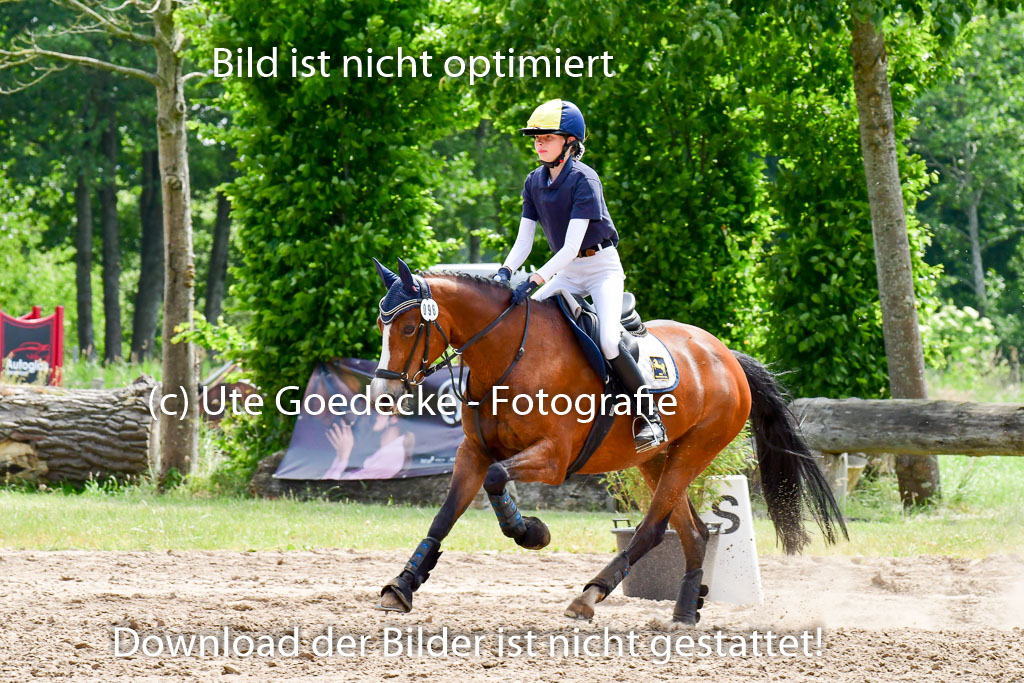 Goldene Schärpe Ponys in Löningen  4+5.6.22 | 04062022 - Gelände  2 Abt _348 