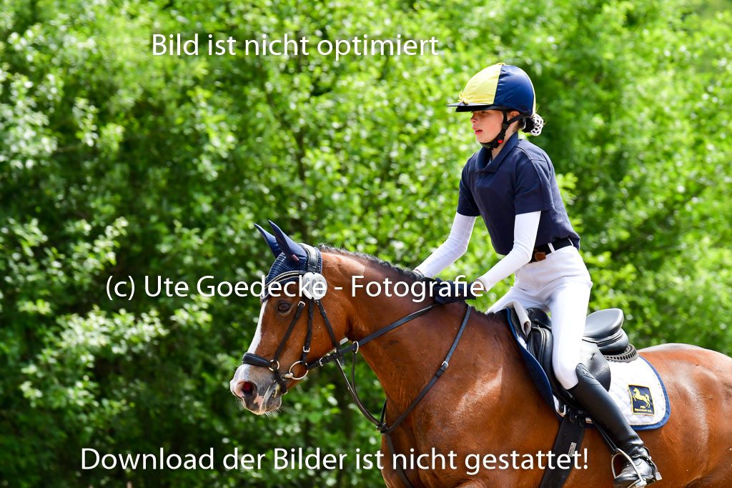 Goldene Schärpe Ponys in Löningen  4+5.6.22 | 04062022 - Gelände  2 Abt _349 