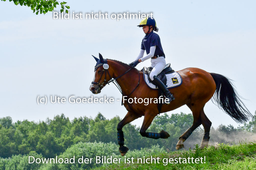 Goldene Schärpe Ponys in Löningen  4+5.6.22 | 04062022 - Gelände  2 Abt _351 
