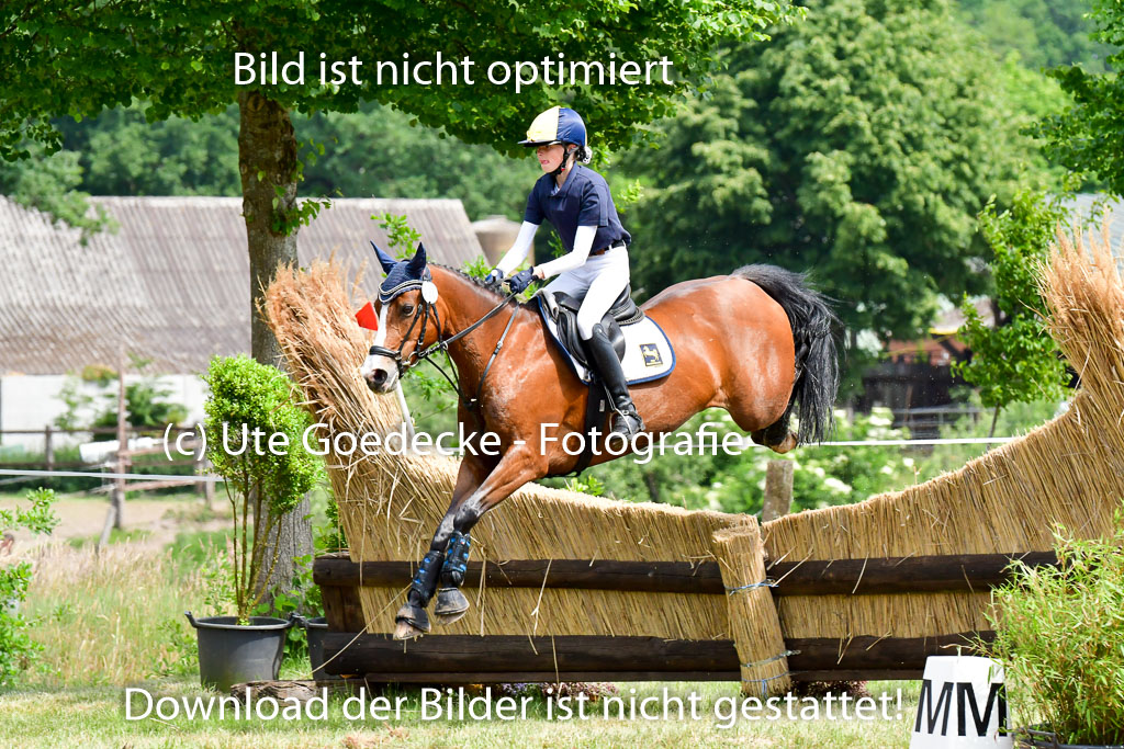 Goldene Schärpe Ponys in Löningen  4+5.6.22 | 04062022 - Gelände  2 Abt _353 