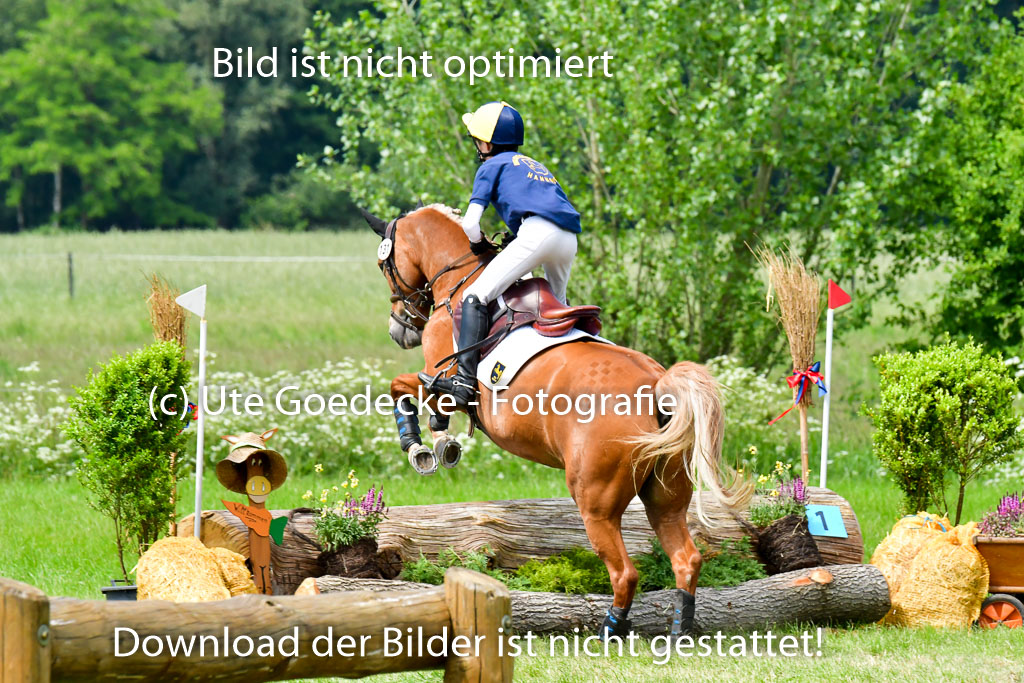 Goldene Schärpe Ponys in Löningen  4+5.6.22 | 04062022 - Gelände  2 Abt _356 