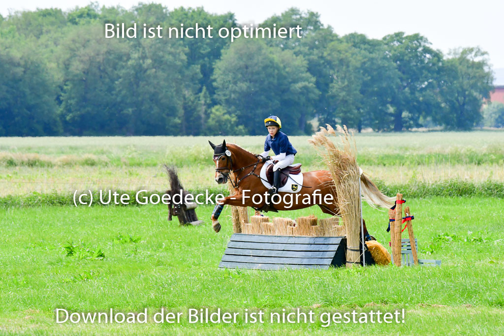 Goldene Schärpe Ponys in Löningen  4+5.6.22 | 04062022 - Gelände  2 Abt _357 