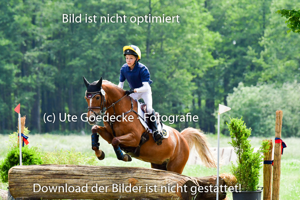 Goldene Schärpe Ponys in Löningen  4+5.6.22 | 04062022 - Gelände  2 Abt _362 