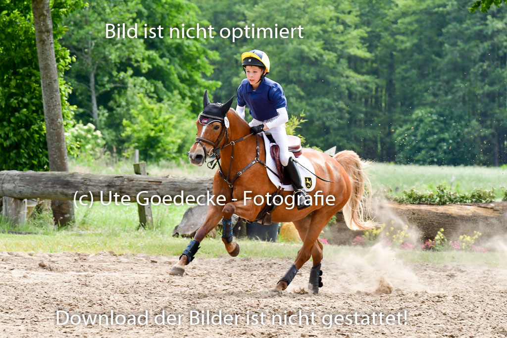 Goldene Schärpe Ponys in Löningen  4+5.6.22 | 04062022 - Gelände  2 Abt _364 