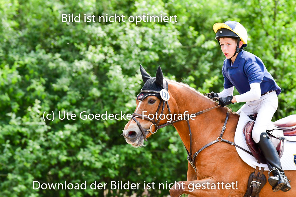 Goldene Schärpe Ponys in Löningen  4+5.6.22 | 04062022 - Gelände  2 Abt _365 