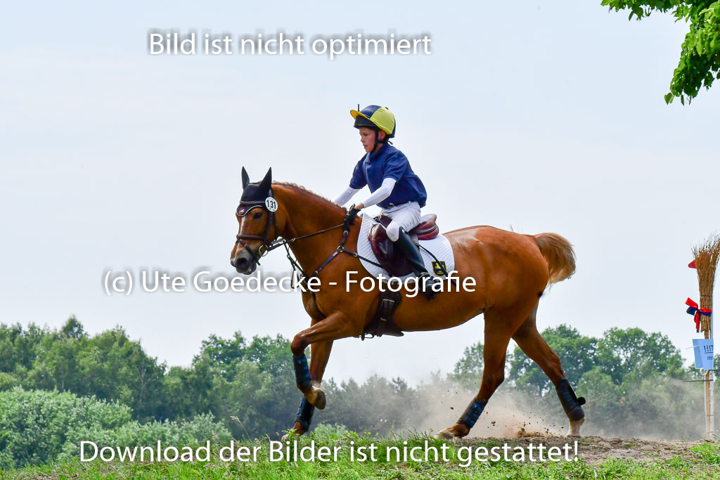 Goldene Schärpe Ponys in Löningen  4+5.6.22 | 04062022 - Gelände  2 Abt _368 