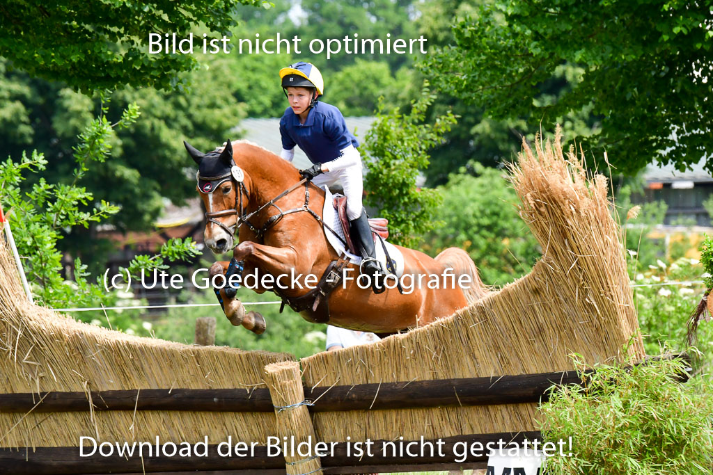 Goldene Schärpe Ponys in Löningen  4+5.6.22 | 04062022 - Gelände  2 Abt _369 